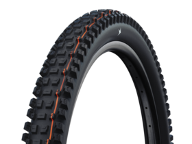 SCHWALBE Radial Albert Trail Pro 29" x 2.5" Soft