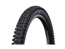 SCHWALBE Radial Tacky Chan 29" x 2.5" Gravity Pro Soft