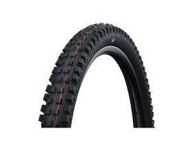 SCHWALBE Radial Magic Mary Trail Pro 29" x 2.5" Soft