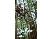 SCHWALBE Romy Trail TLR Mid MTB Tyre (Folding) 27.5 x 2.40" 27.5 x 2.40" click to zoom image