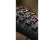 SCHWALBE Romy Trail Pro TLR Mid Radial MTB Tyre (Folding) 29 x 2.50" 29 x 2.50" click to zoom image