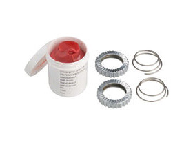 DT SWISS Service/Upgrade Kit for star ratchet hubs 54 teeth SL