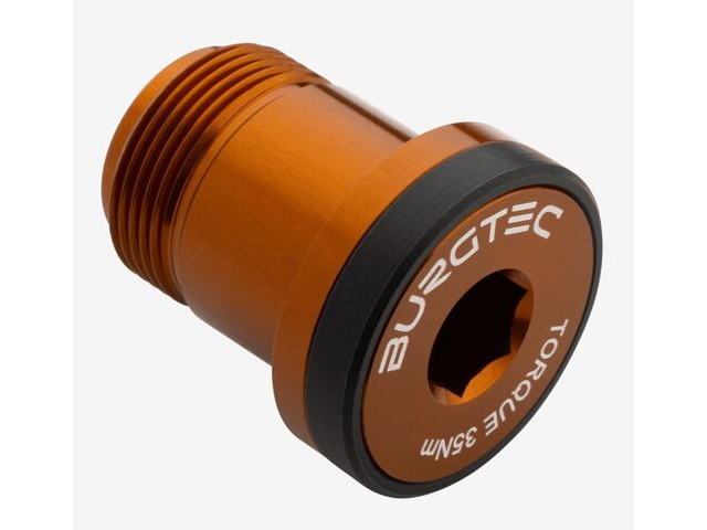 BURGTEC T-Type Derailleur Bolt 1 in Kash Bronze click to zoom image