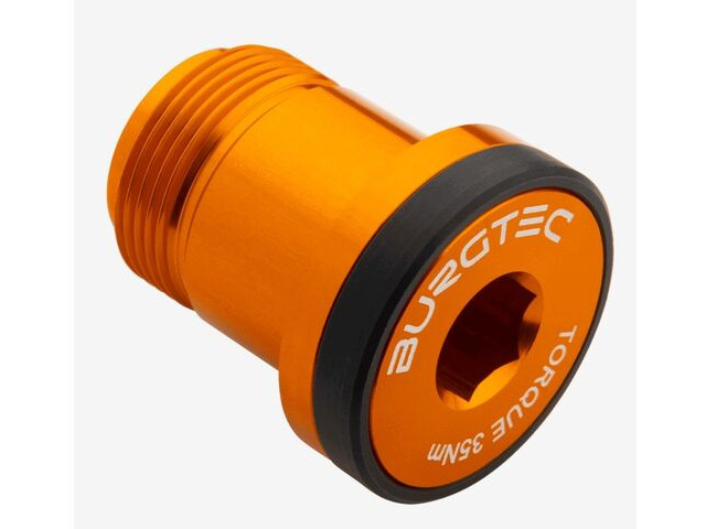 BURGTEC T-Type Derailleur Bolt 1 in Iron Bro Orange click to zoom image
