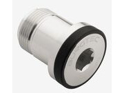 BURGTEC T-Type Derailleur Bolt 1 in Silver 