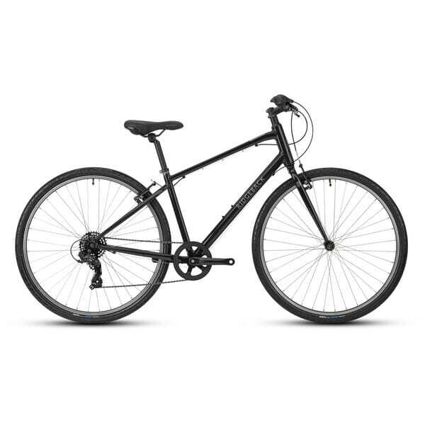 Ridgeback comet 2019 2025