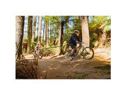 SHOTGUN KIDS MOUNTAIN BIKE SEAT Quick Fit MTB Tow Rope click to zoom image