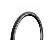 Pirelli Angel DT Urban Pro Compound 650x57 