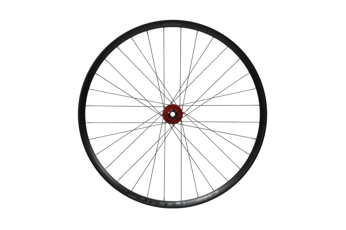 Boa 29er 2025